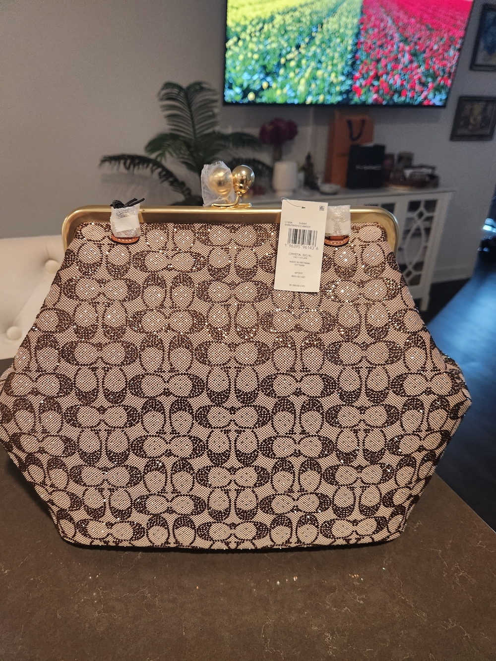 COACH LARGE  & RARE CHRYSTAL KISSLOCK SOLD OUT EVERYWHERE